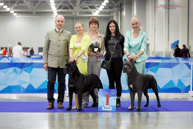 Общий снимок после ринга
