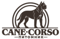 Питомник Кане Корсо